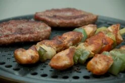 Cobb Premier+ Gas Gasbarbecue - Grijs -Buitenkampeerwinkel 1263 1900 dsc 0474