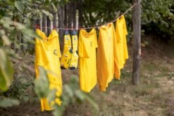 Easy Camp Palmdale 600 Tunneltent - 6 Persoons -Buitenkampeerwinkel 1267 1900 waslijn 1