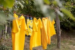 Easy Camp Eclipse 300 Tunneltent - 3 Persoons - Groen -Buitenkampeerwinkel 1267 1900 waslijn 1