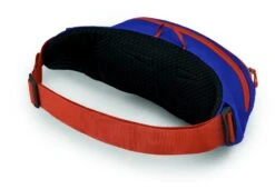 Osprey Daylite Heuptas - Blauw/Oranje 11 Osprey Daylite Heuptas - Blauw/Oranje -Buitenkampeerwinkel 1900 1425 daylitewaist s23 sideback silverliningblueberry 10005144