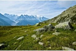 Vango F10 Helium UL 2 Ultralichte Trekking Tunneltent - 1/2 Persoons - Groen 12 Vango F10 Helium UL 2 Ultralichte Trekking Tunneltent - 1/2 Persoons - Groen -Buitenkampeerwinkel 1900 1783 f10 helium ul 2 3