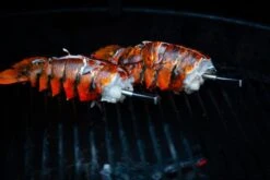 MEATER Block Met 4 Draadloze Thermometers -Buitenkampeerwinkel 20190625 mg 6541