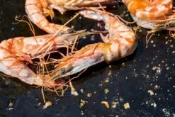 OFYR Kookboek -Buitenkampeerwinkel 800 1200 cb no1 nl fr 3