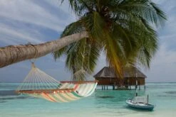 La Siesta Colada 1 Persoons Hangmat - Curacao -Buitenkampeerwinkel 800 1200 cor14 3 ambiance 005