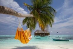 La Siesta Currambera 2 Persoons Hangmat - Apricot -Buitenkampeerwinkel 800 1200 cuh16 5 ambiance 204