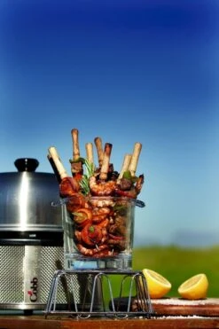 Cobb Premier+ Gas Gasbarbecue - Grijs -Buitenkampeerwinkel cobb premier 3 1