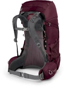 Osprey Renn Backpack - 50 Liter - Paars -Buitenkampeerwinkel osprey renn 50 paars 4